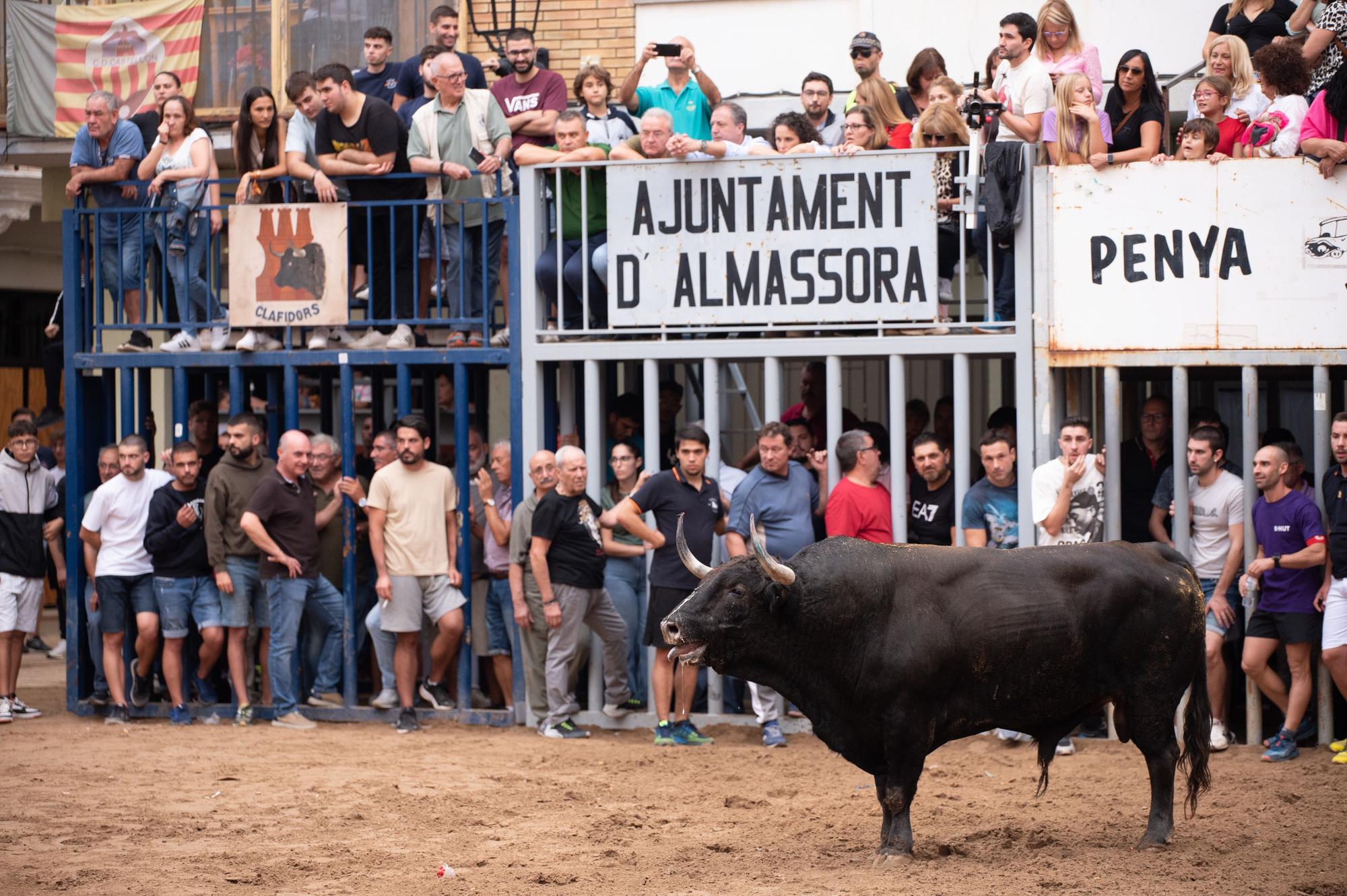 La tarde taurina del martes de las fiestas de Almassora, en imágenes