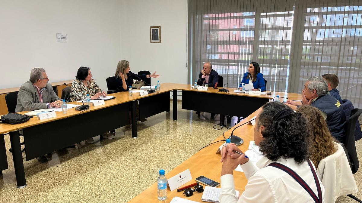 Un momento de la reunión con la consejera Rubira.