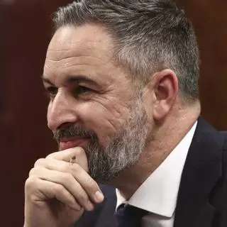 Vox y el dilema de la gobernabilidad