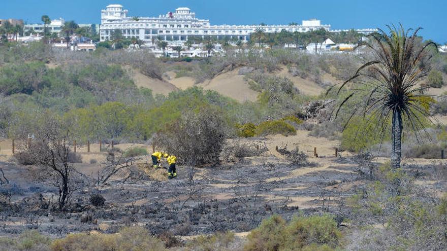 Los especialistas investigan en Las Dunas el origen del incendio