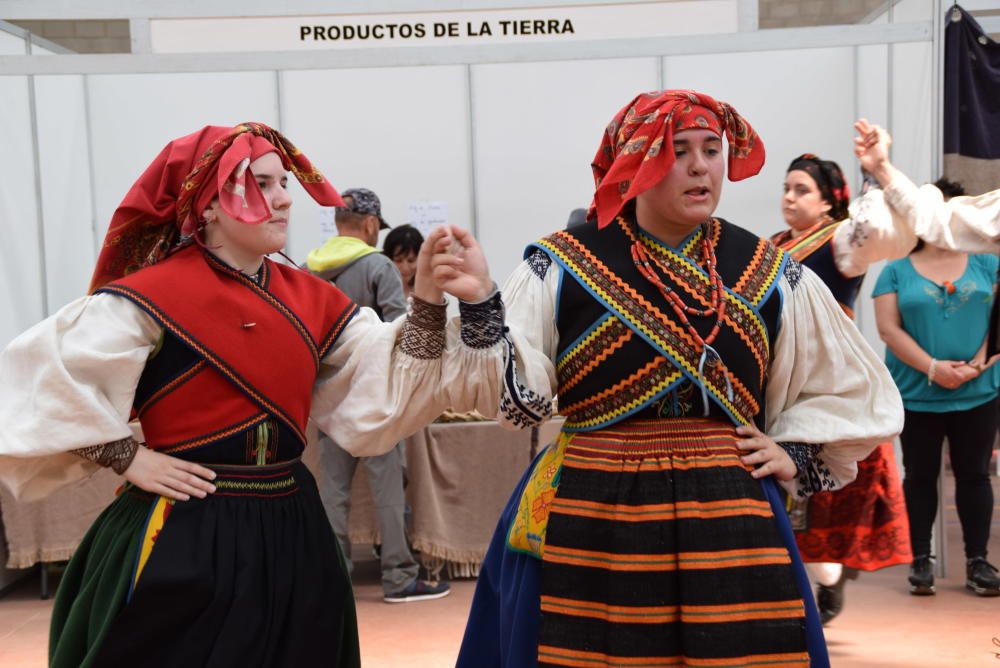 Feria ganadera de San Miguel en Carbajales de Alba