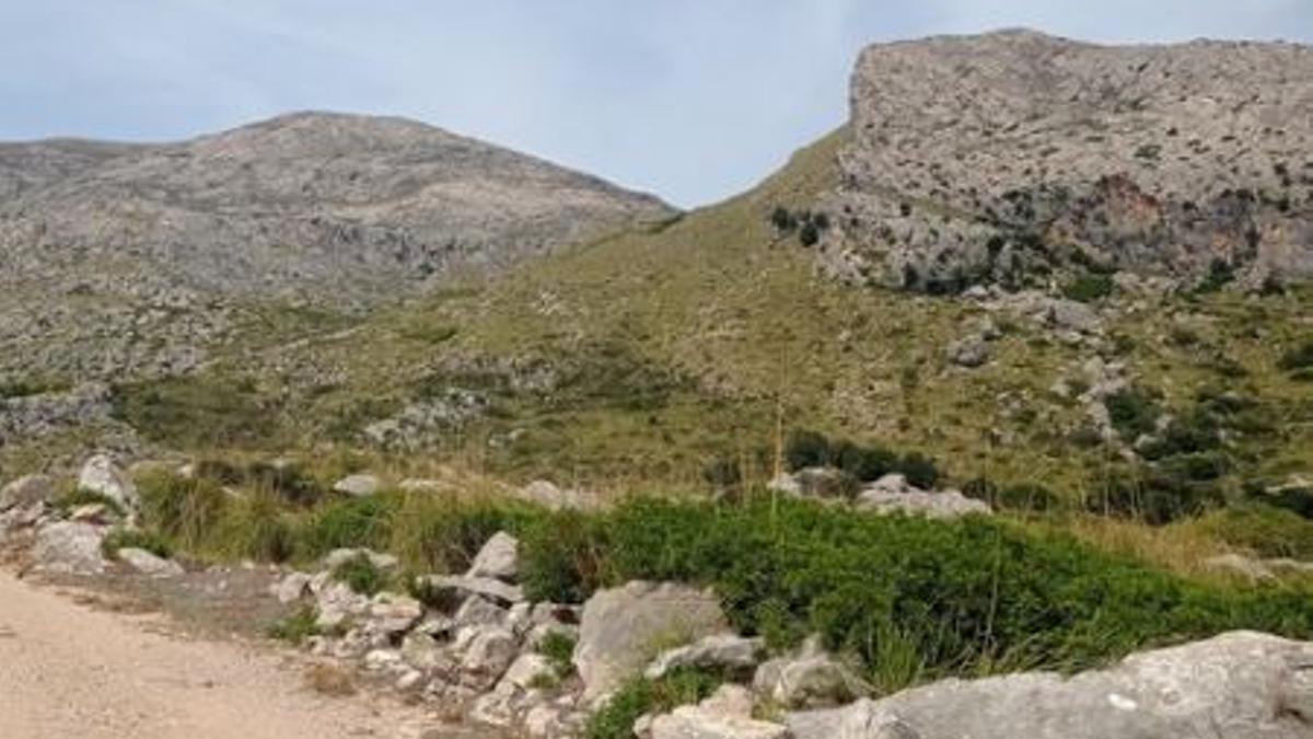 Finca Míner Gran.