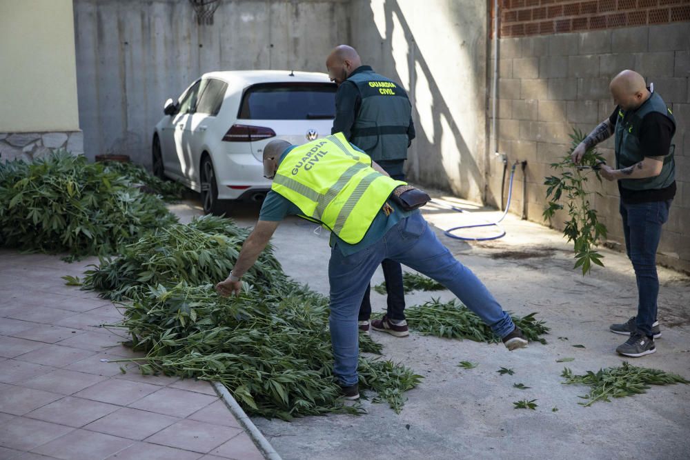 Operació antidroga de la Guàrdia Civil amb epicentre a Vidreres