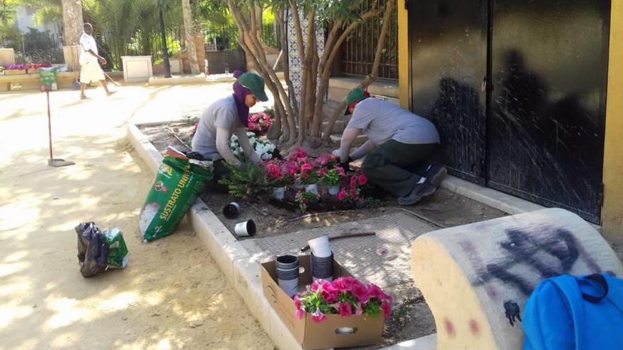 Los técnicos plantan estos días flores de temporada en la ciudad.