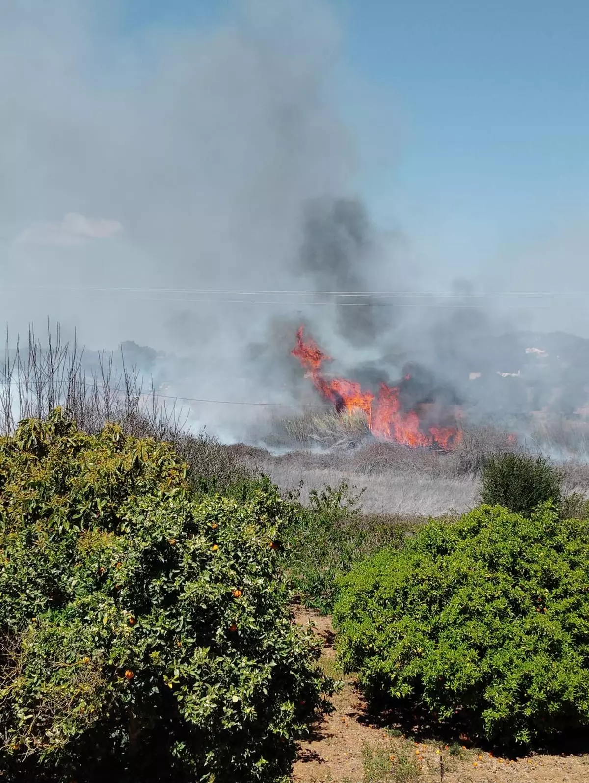 Un incendio en la entrada de Santa Eulària obliga a desalojar casas