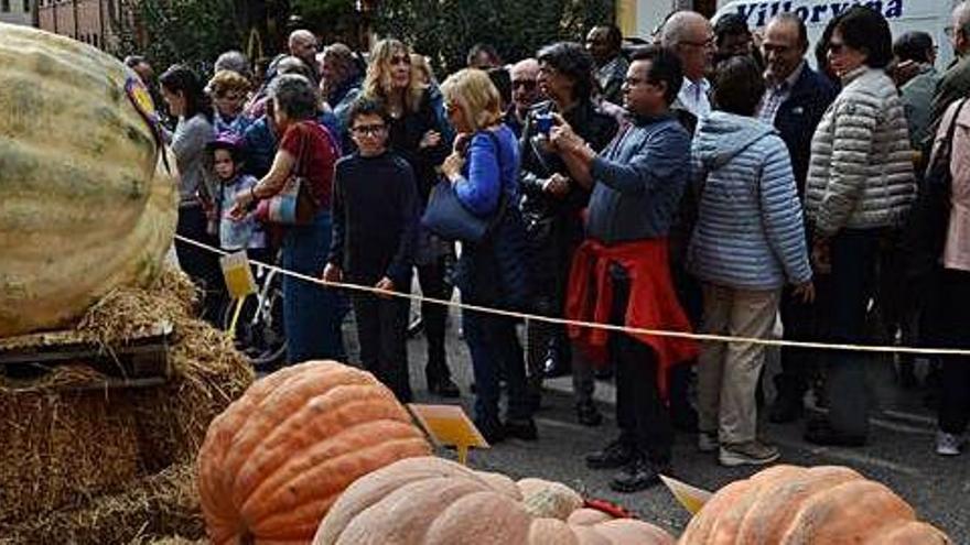 Les carbasses del concurs exposades a la plaça dels Arbres de Calaf