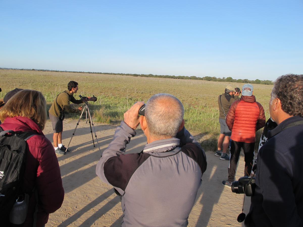 Nationalpark Doñana: Der Führer einer Besuchergruppe im Nationalpark Doñana, Nacho Camino, hat ein Monokular auf einem Stativ für die Beobachtung seltener Vögel in dem einzigartigen Naturparadies in Andalusien in Südspanien aufgebaut.