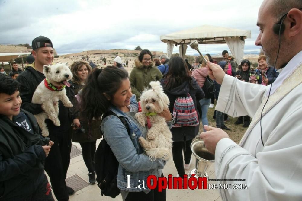 Jornada especial por San Antón en la Fortaleza del Sol de Lorca