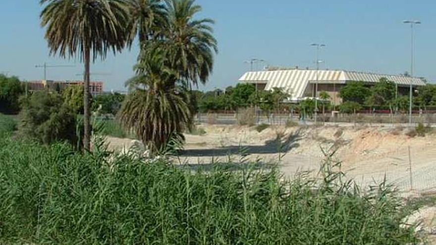 Alicante Vivo lamenta la extinción del último manantial de la ciudad