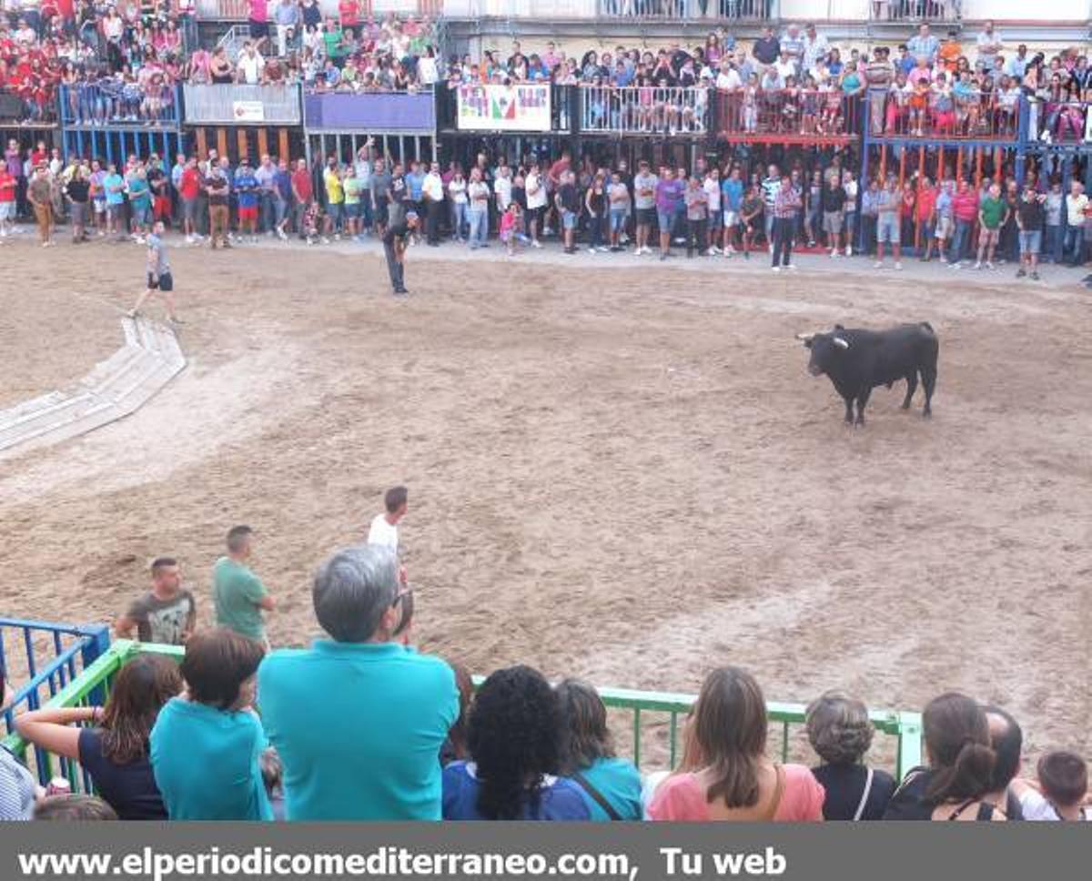 GALERÍA DE FOTOS - Fiestas de la Soledat en Nules