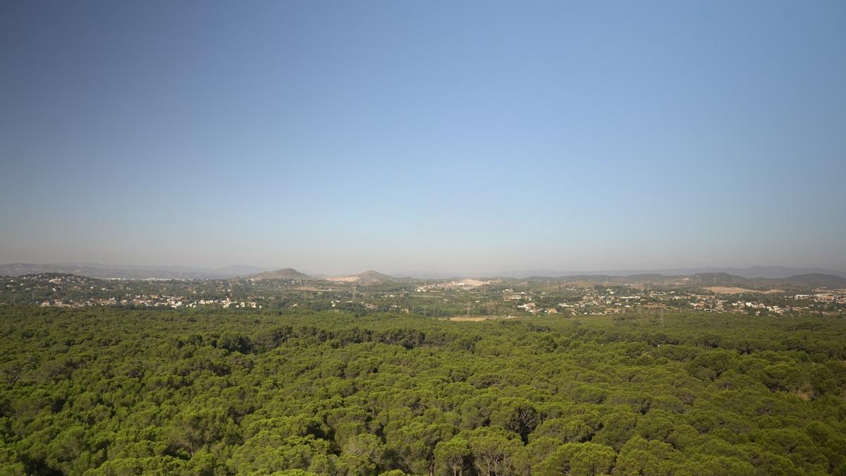 Paraje natural de La Vallesa