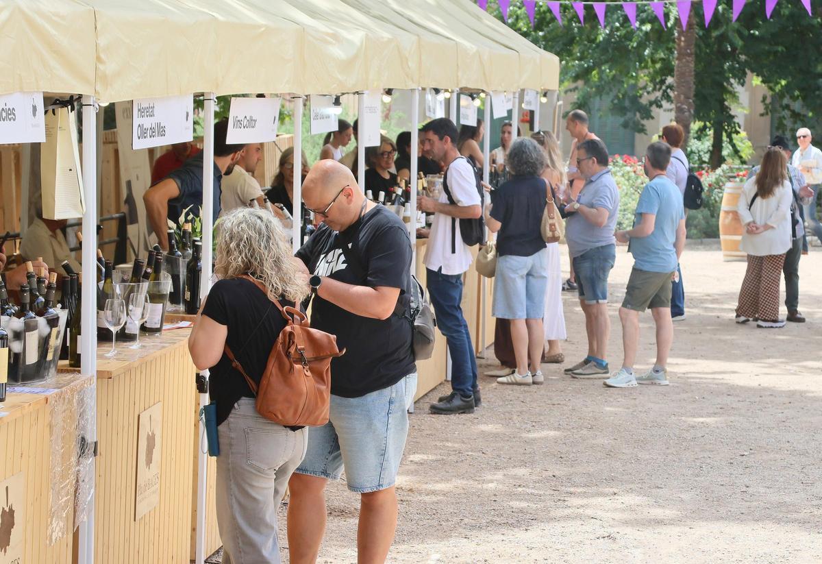 Les imatges de la mostra de vins de la ViBa al Pati del Casino de Manresa