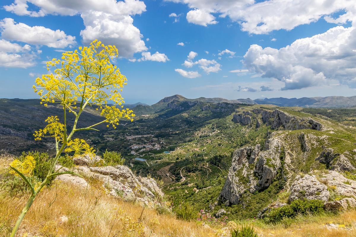 Aquí también encontraras senderos con vistas imperdibles.