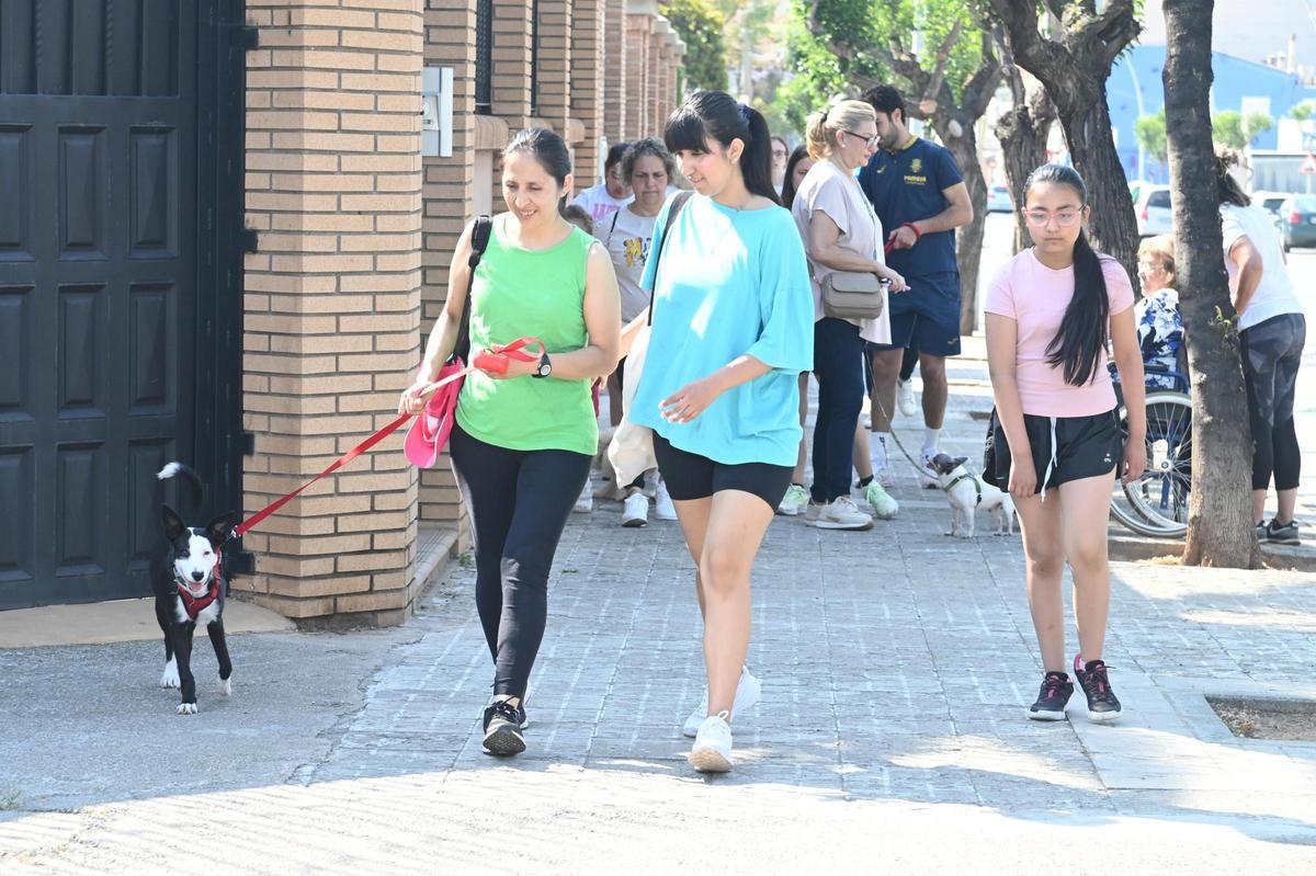 La marcha canina benéfica de Vila-real, en imágenes