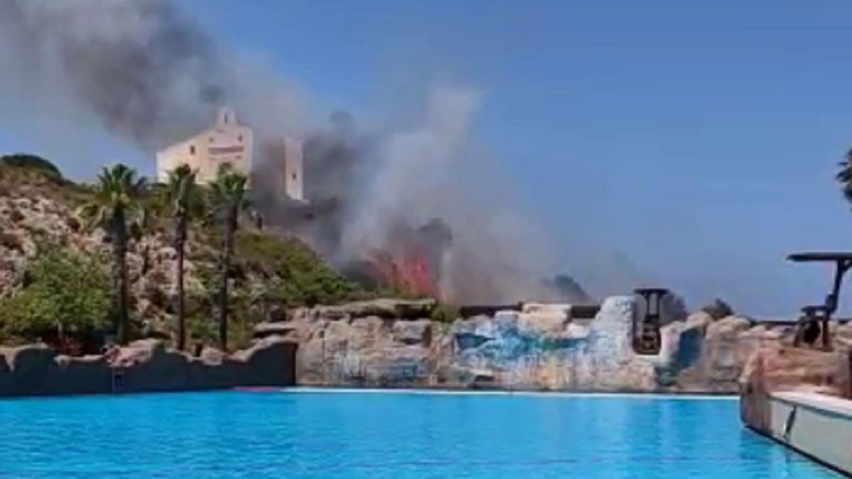 Incendio junto a la piscina de Aquópolis en Cullera.