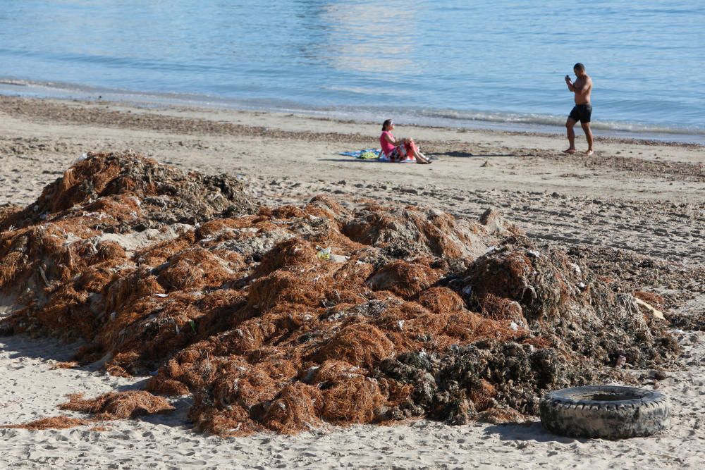 Alicantinos y turistas disfrutan a 20 grados de un