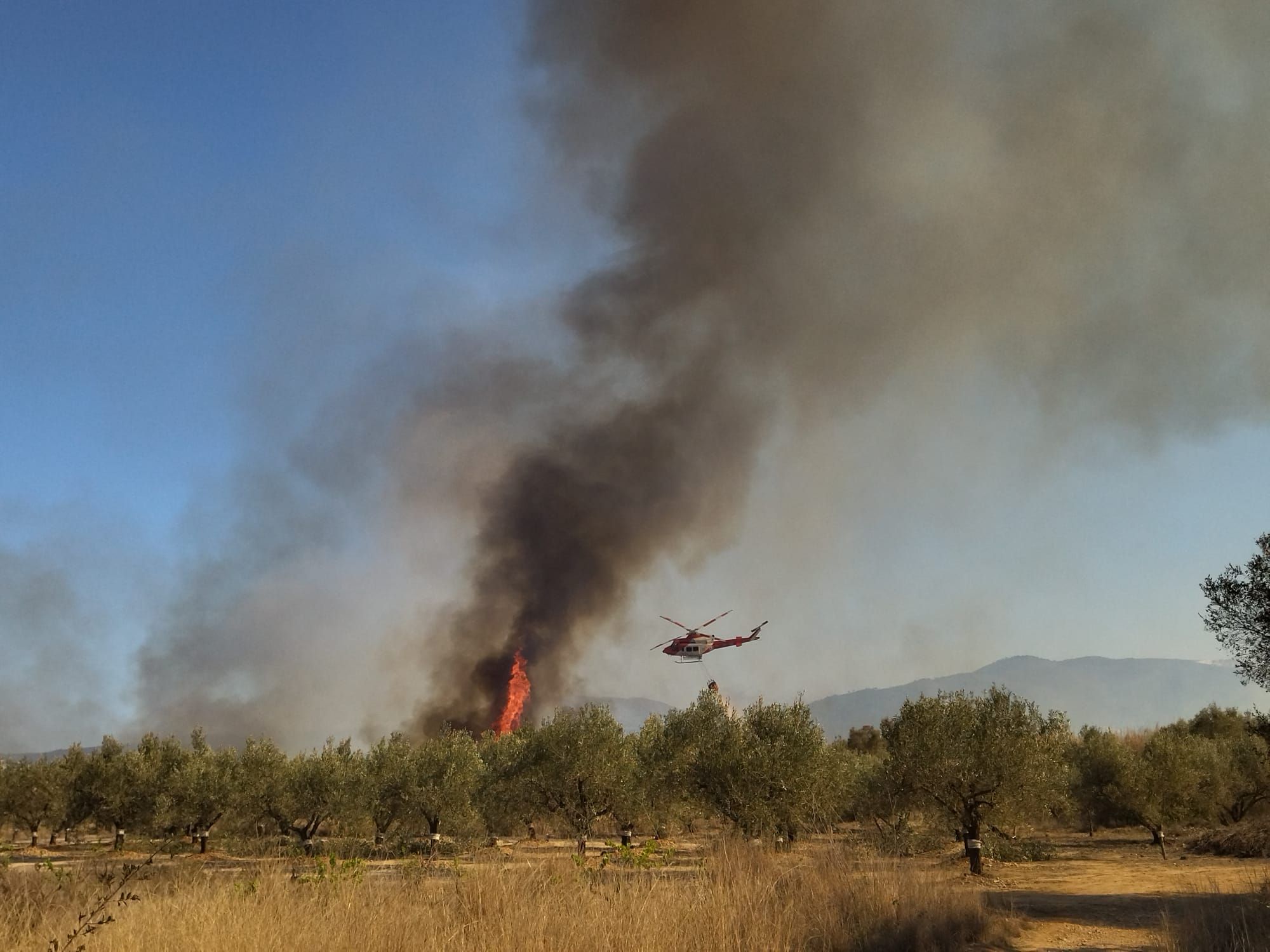 Las imágenes del virulento incendio de Xàbia