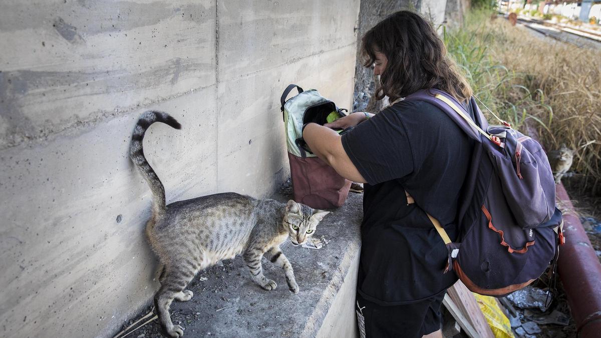Carol García dando de comer a unos gatos en el puerto de Barcelona, en 2018.