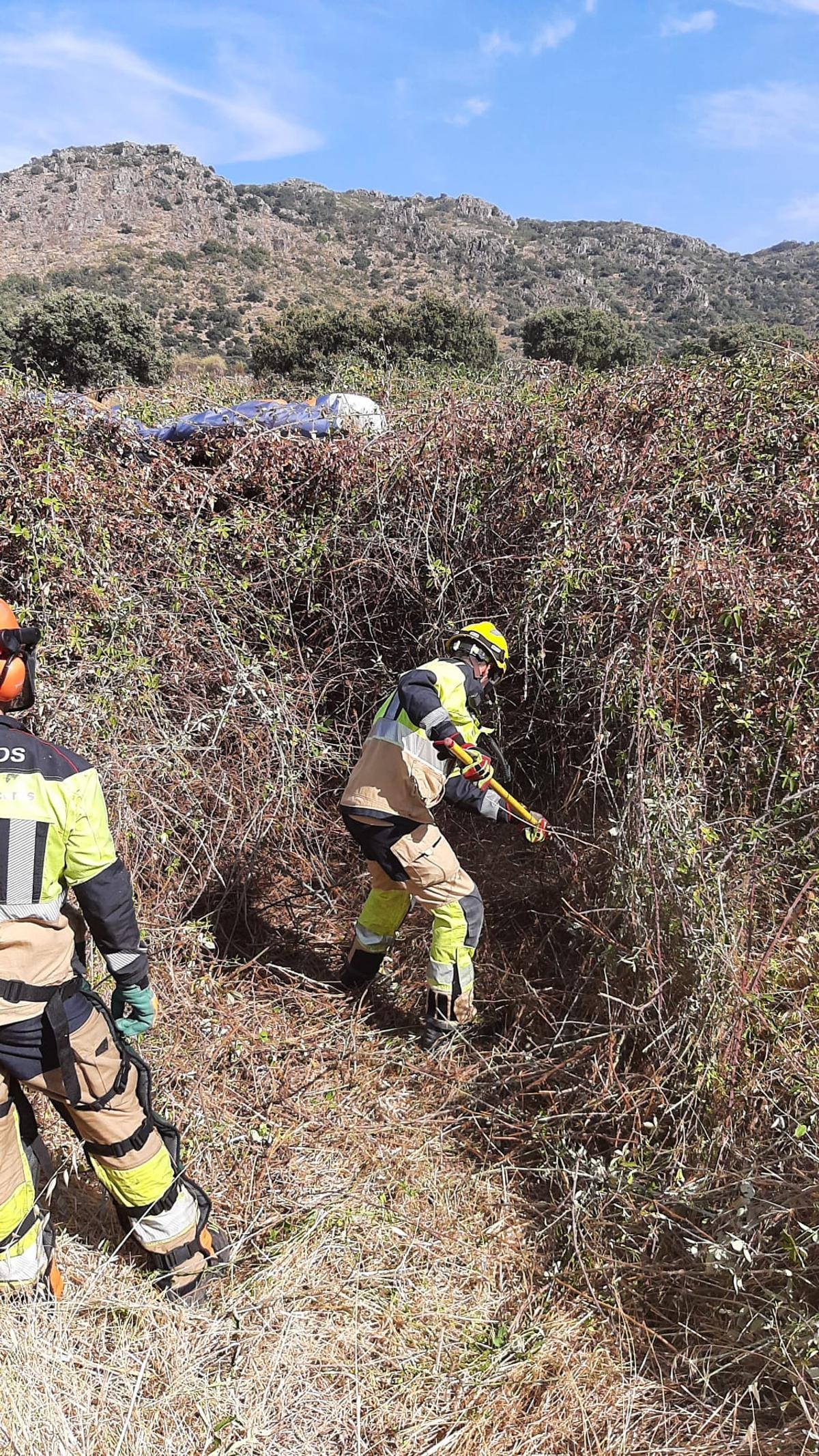 Los bomberos entran por el zarzal para rescatar al parapentista herido leve.