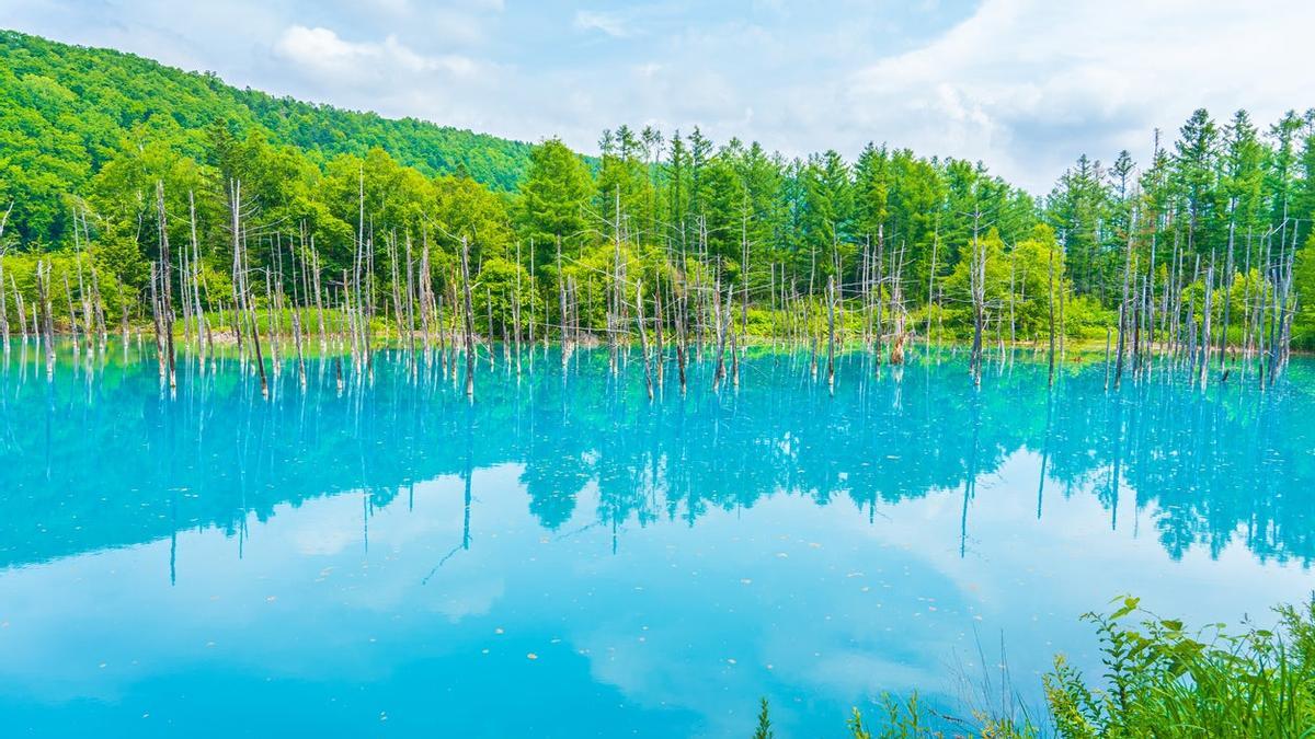 Lago Blue Pond Japón estanque azul