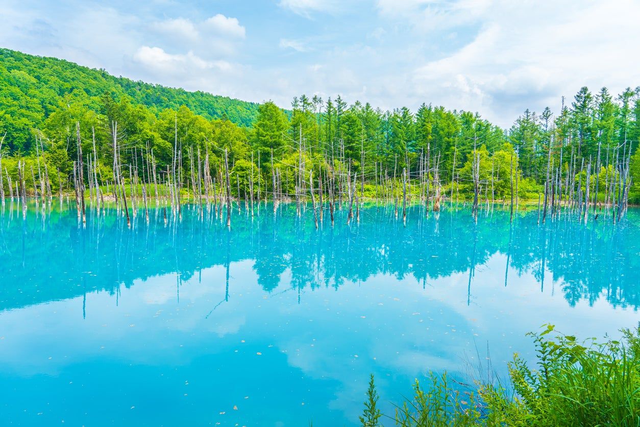 Lago Blue Pond Japón estanque azul
