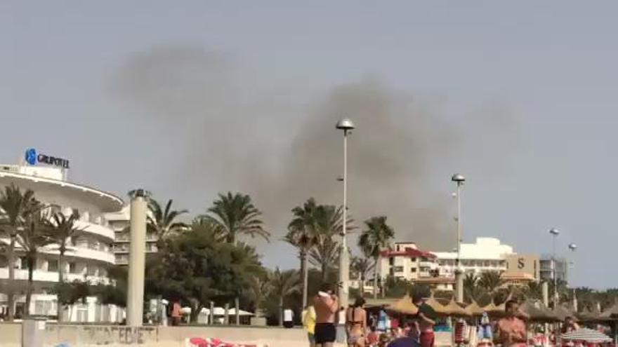 Waldbrand an der Playa de Palma