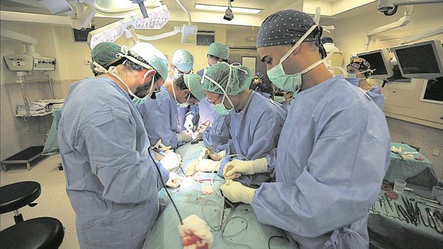 El número de donantes de órganos crece el 37% en 5 años en España