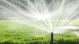 Cómo combinar un bello jardín con el ahorro de agua