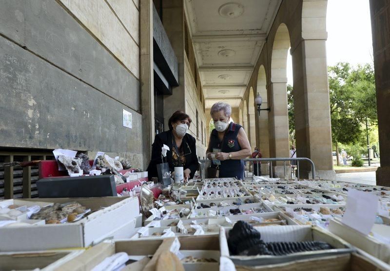 Reapertura de los rastrillos de antigüedades de la plaza de San Francisco y plaza de San Bruno