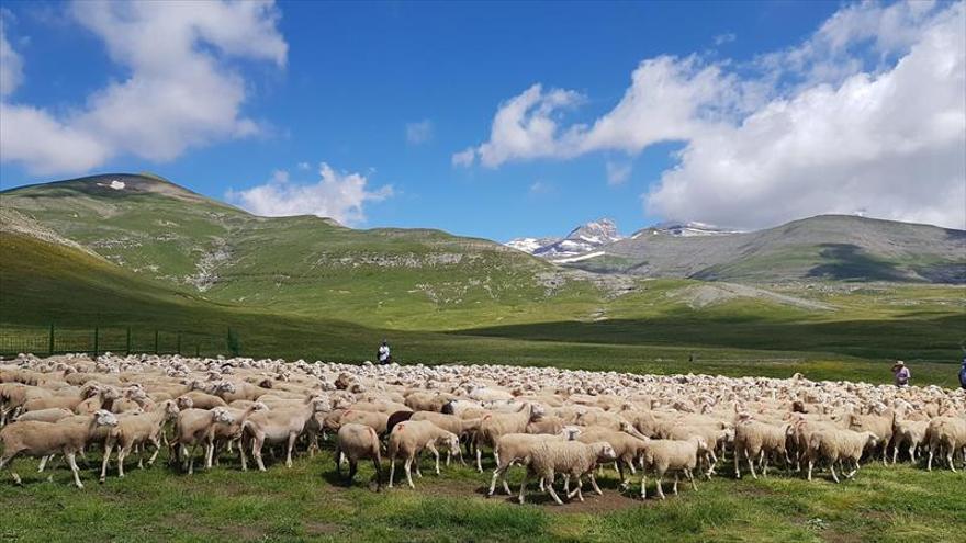 Once pueblos más pueden optar a las ayudas por el lobo y el oso