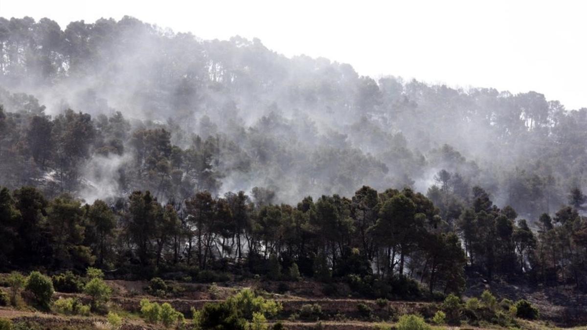 Incendio forestal en Rocallaura.