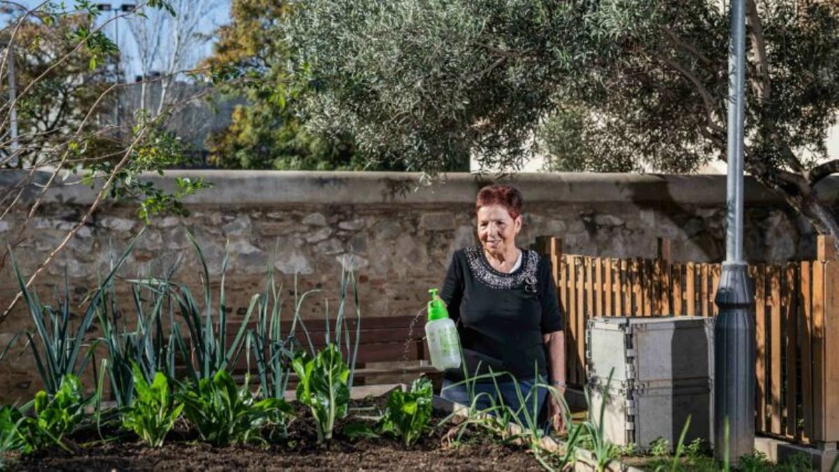 Una persona cuidando de uno de los huertos municipales de Barcelona