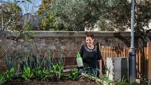 Una persona cuidando de uno de los huertos municipales de Barcelona
