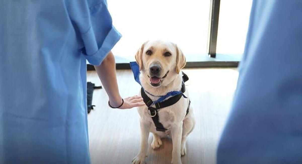 MANRESA . FUNDACIO ALTHAIA . GOSSOS . SALUT MENTAL