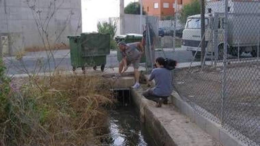 Almassora garantiza la evacuación de pluviales en la acequia Tarongera con la puesta en marcha de un sistema de desbaste