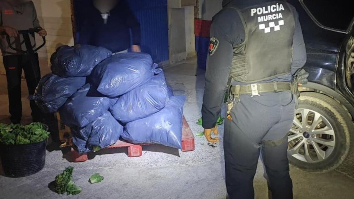 Un agente de Policía Local junto a las lechugas robadas.