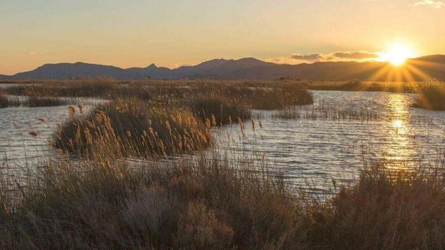 Foto del Prat de Cabanes-Torreblanca. Aquest projecte se centra en la zona de la marjal nord del parc natural. | MEDITERRÁNEO