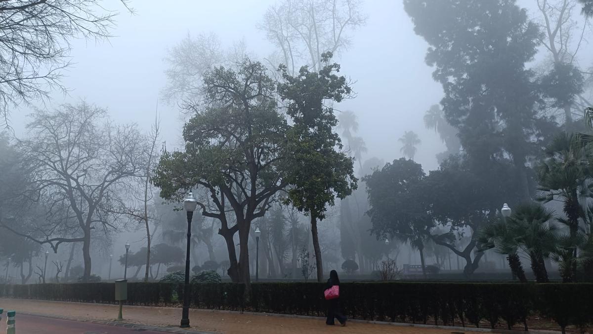 Castellón amanece cubierta por una densa niebla: este es el motivo