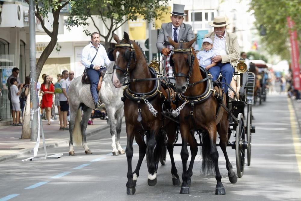 Día del Caballo en Alfonso X