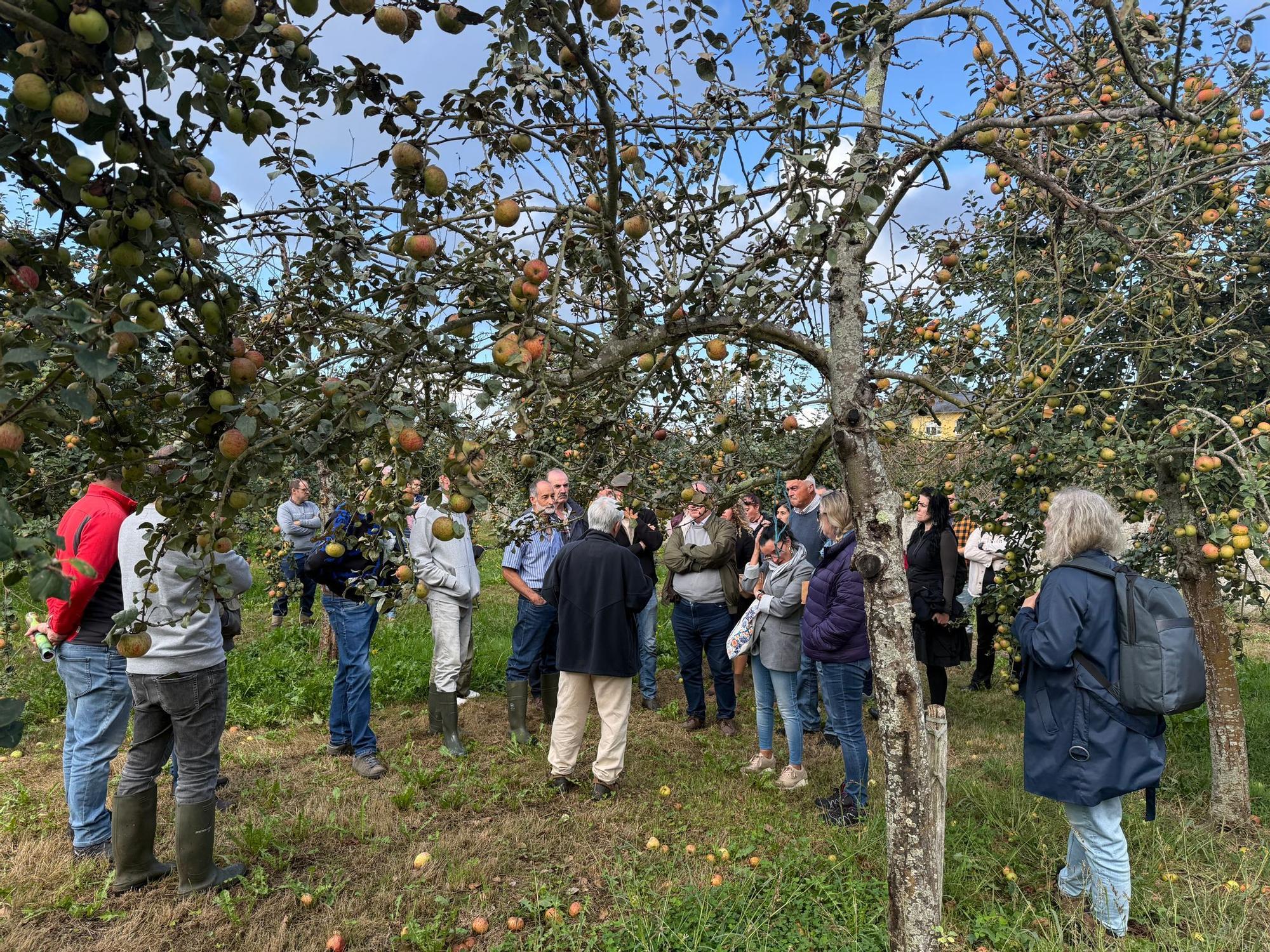 El SERIDA explica sobre el terreno las medidas de protección contra las plagas de roedores en pomaradas