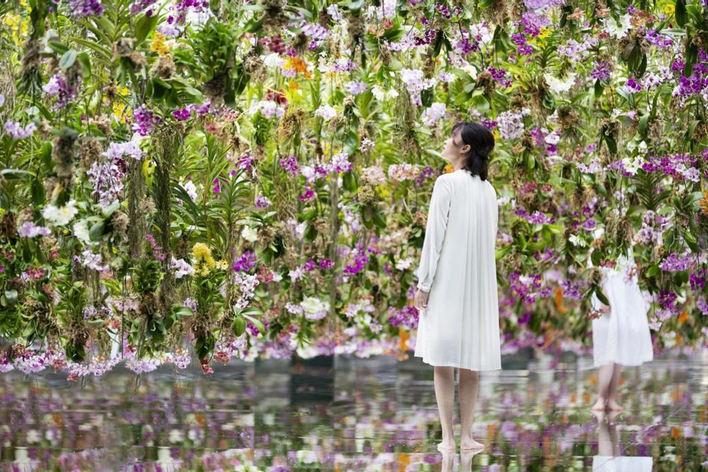 Jardín de flores flotantes
