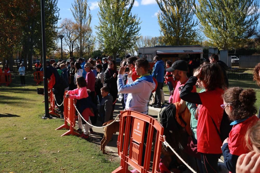 Así ha sido la Doggie Race en Benavente