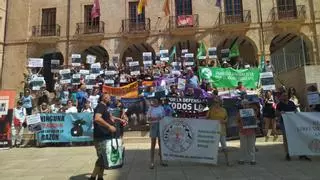 Protesta contra los "bous a la mar" en Dénia: "El maltrato animal hay que eliminarlo sin titubeos"
