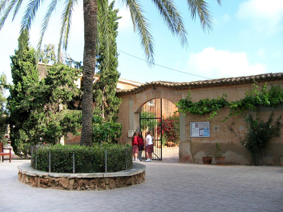 Fuimos el primer colegio británico internacional en Mallorca en ofrecer el Programa del Diploma del Bachillerato Internacional