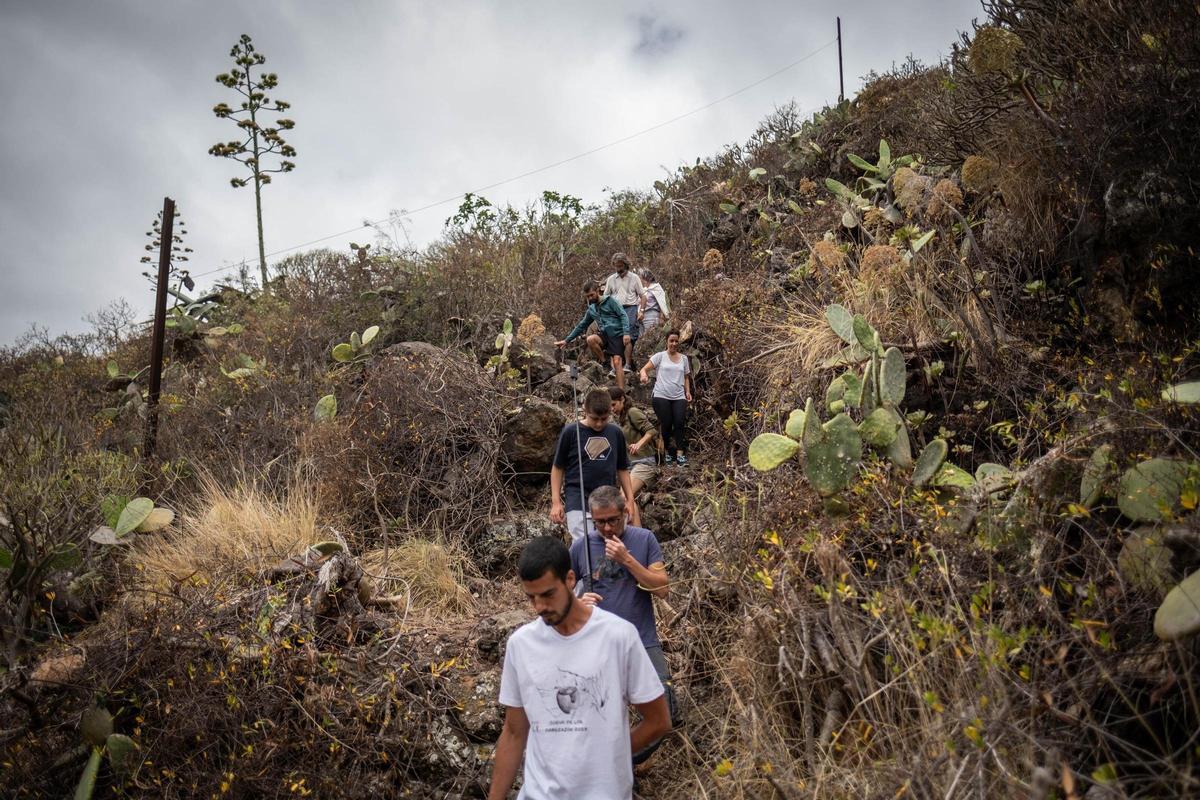 Excavación arqueológica en la Cueva de los Cabezazos, en Tegueste