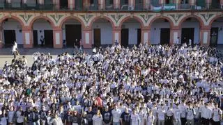 Más de 750 estudiantes participan en la Yincana Matemática: "Al principio pensé que iba a ser como un examen, pero es más como un juego"