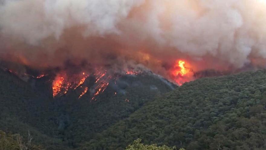 Australia ordena más evacuaciones por incendios que ya han causado 17 muertos