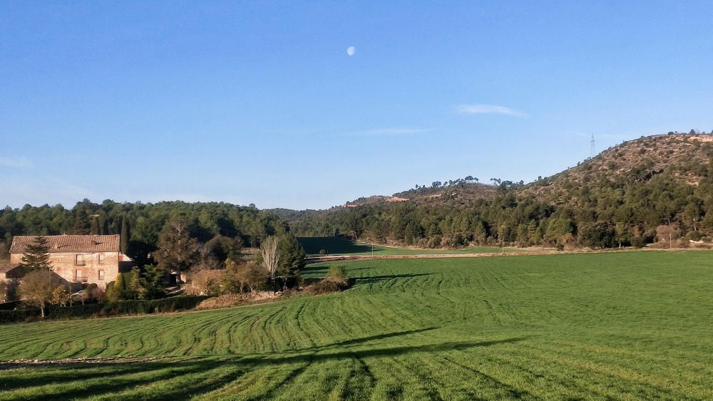 Camps a Cardona. Com podem observar, de moment no és un bon any per als camps, ja que la manca de pluges està endarrerint el creixement de les plantes. Amb una mica de sort i amb l’entrada de la primavera, tot tornarà a la normalitat.