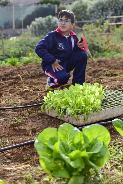 Visita escolar a la Granja Agricola del Cabildo