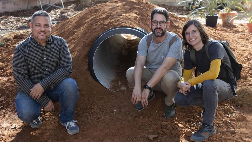 Menos hormigón y más flores: Así se adaptarán los patios de colegio al cambio climático